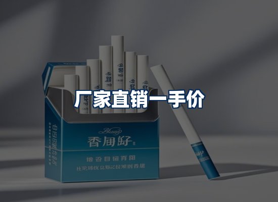 专业团队办公环境